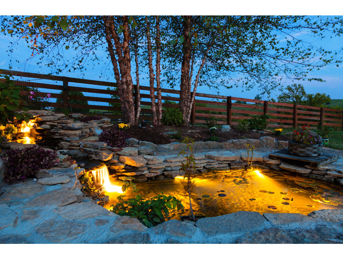 Uplighting Large Trees Marquis Gardens