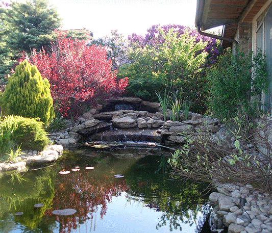 Selecting pond materials and liners - Marquis Gardens