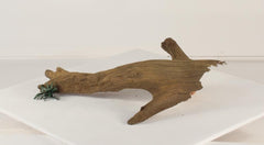 Photo of Floating Log 001 - Marquis Gardens