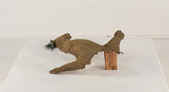 Photo of Floating Log 001 - Marquis Gardens