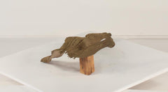 Photo of Floating Log 001 - Marquis Gardens