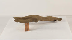Photo of Floating Log 001 - Marquis Gardens