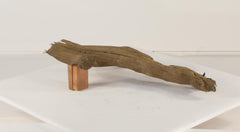 Photo of Floating Log 001 - Marquis Gardens