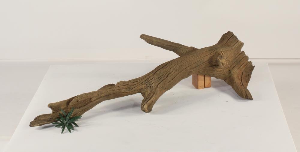 Photo of Floating Log 002 - Marquis Gardens