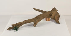 Photo of Floating Log 002 - Marquis Gardens