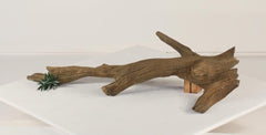 Photo of Floating Log 002 - Marquis Gardens