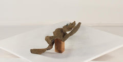 Photo of Floating Log 002 - Marquis Gardens