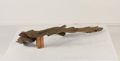 Photo of Floating Log 002 - Marquis Gardens