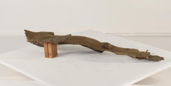 Photo of Floating Log 002 - Marquis Gardens
