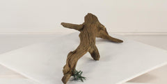 Photo of Floating Log 002 - Marquis Gardens