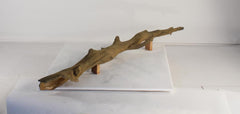 Photo of Floating Log 003 - Marquis Gardens