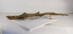 Photo of Floating Log 003 - Marquis Gardens