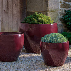 Campania Cabachon Planter – Set of 3