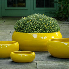 Campania Sasha Planter – Set of 4