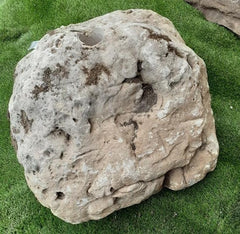 Moss Bubble Rock - 126
