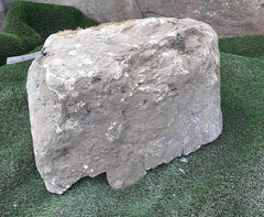Moss Bubble Rock - 146