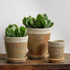 Campania Farmers Pot