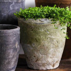 Campania Farmers Pot