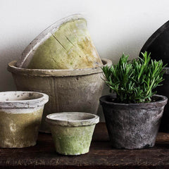 Campania Farmers Pot