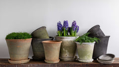 Photo of Campania Large Tapered Farmer's Pot Mixed Set of 16 - Marquis Gardens