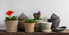 Campania Farmers Pot