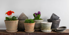 Photo of Campania Tall Cylinder Farmer's Pot - Mixed - Set of 16 - Marquis Gardens