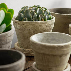 Campania Farmer's Pot Traditional - Mixed - Set of 16