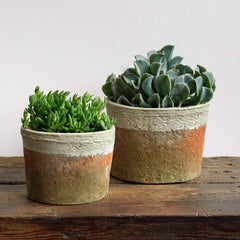 Photo of Campania Farmer's Pot Cylinder - Cotswold White - Set of 8 - Marquis Gardens