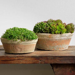 Campania Farmers Pot