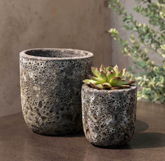 Photo of Campania Dao Planter - Set of 8 - Marquis Gardens