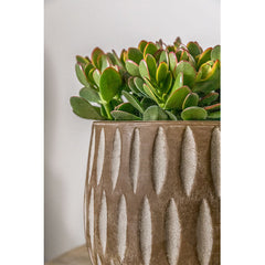 Photo of Campania Parabola Large Round Planter - Set of 8 - Marquis Gardens