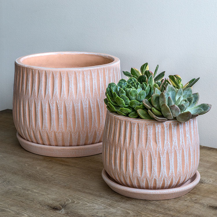 Photo of Campania Parabola Large Round Planter - Set of 8 - Marquis Gardens