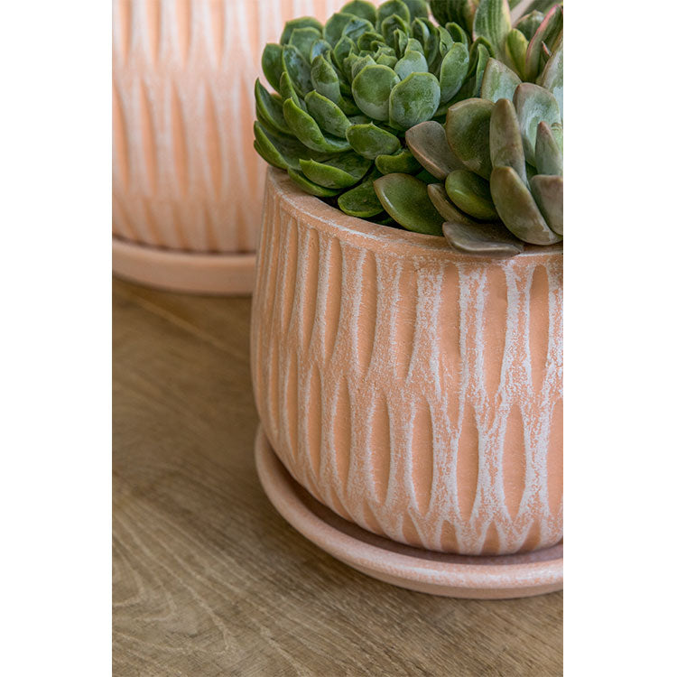 Photo of Campania Parabola Large Round Planter - Set of 8 - Marquis Gardens