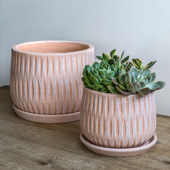 Photo of Campania Parabola Large Round Planter - Set of 8 - Marquis Gardens