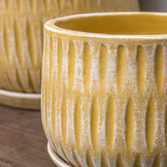 Campania Parabola Planter – Set of 8