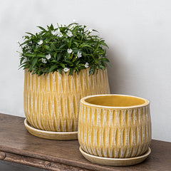 Photo of Campania Parabola Large Round Planter - Set of 8 - Marquis Gardens