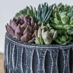 Campania Parabola Planter – Set of 8