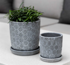 Photo of Campania Marguerite Round Planter - Set of 8 - Marquis Gardens