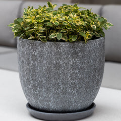 Campania Marguerite Tall and Short Tapered Planter - Set of 4