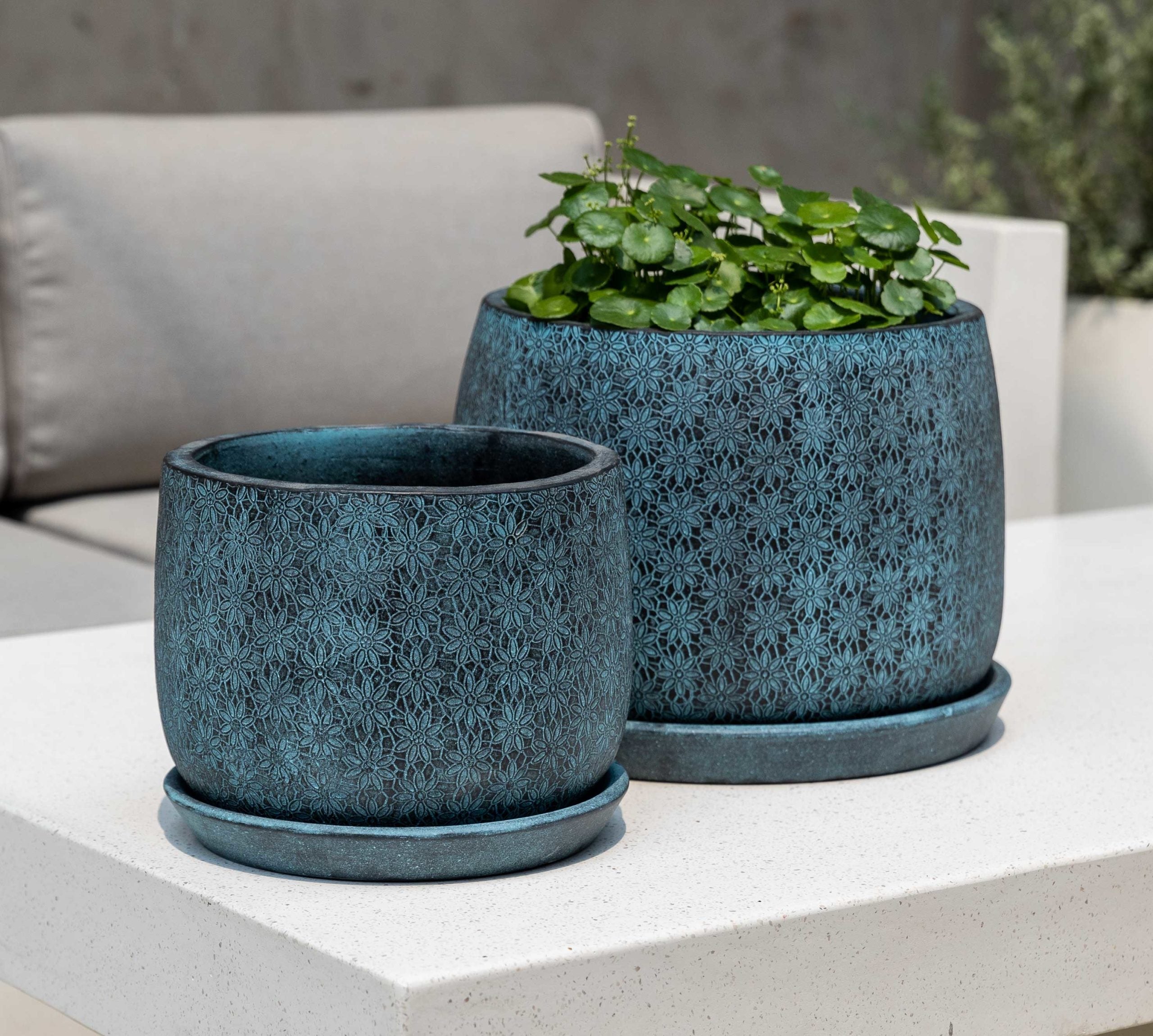 Photo of Campania Marguerite Round Planter - Set of 8 - Marquis Gardens