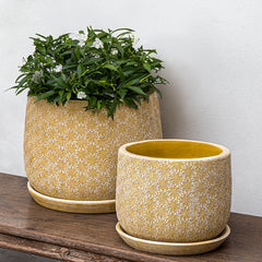 Photo of Campania Marguerite Round Planter - Set of 8 - Marquis Gardens