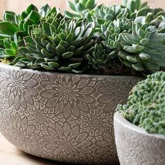 Photo of Campania Chrysanthemum Bowl Set of 4 - Marquis Gardens