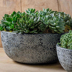 Photo of Campania Chrysanthemum Bowl Set of 4 - Marquis Gardens