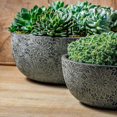 Photo of Campania Chrysanthemum Bowl Set of 4 - Marquis Gardens