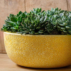 Photo of Campania Chrysanthemum Bowl Set of 4 - Marquis Gardens