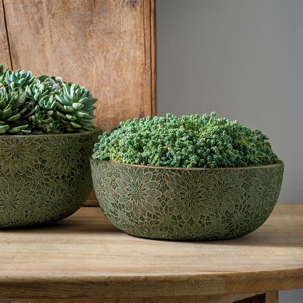 Photo of Campania Chrysanthemum Bowl Set of 4 - Marquis Gardens