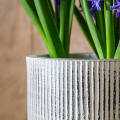 Photo of Campania Pleated Planter - Dusty White - Set of 8 - Marquis Gardens