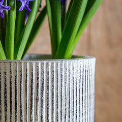 Photo of Campania Pleated Planter - Dusty White - Set of 8 - Marquis Gardens