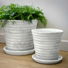 Photo of Campania Channel Planter - Whitewash - Set of 4 - Marquis Gardens