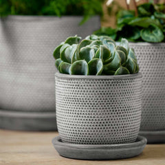 Photo of Campania Cobblestone Planter - Grey and Whitewash - Set of 3 - Marquis Gardens